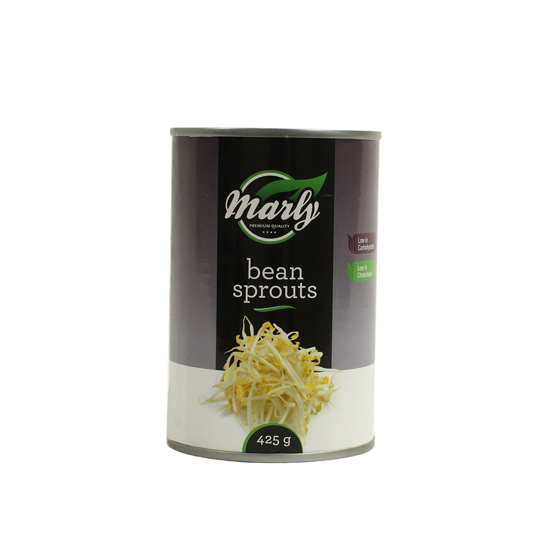 Bean Sprouts 425g