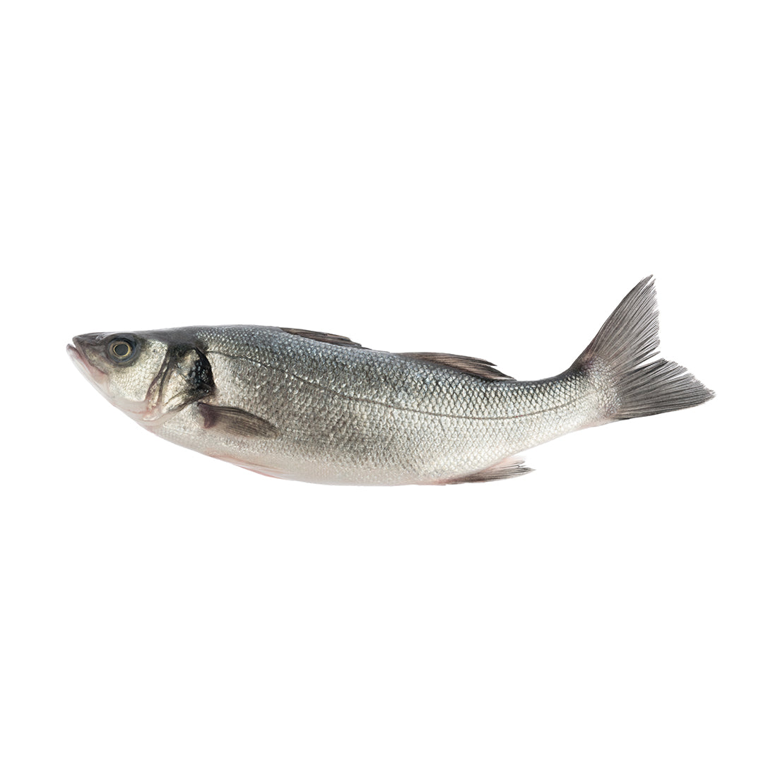 Wild Sea Bass Frozen Fillet (Loup de Mer Sauvage) 200g