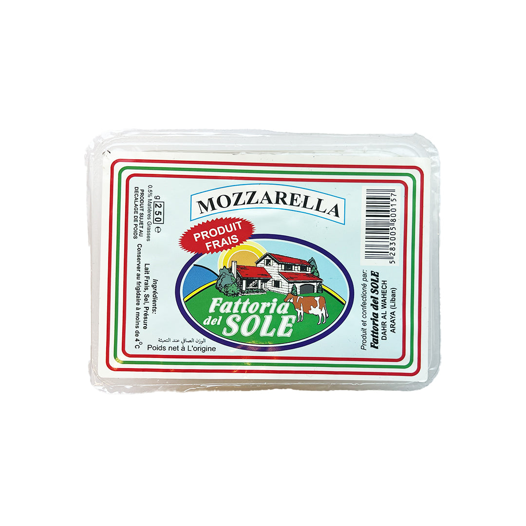 Mozarella 250g - 5 pcs