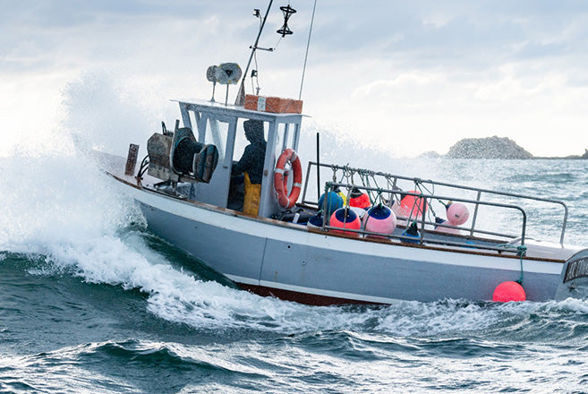 A chef-driven vision of the sea