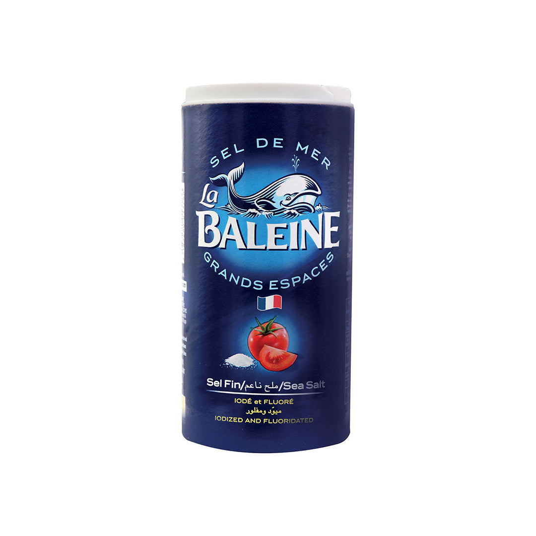 Fine Iodized Salt 600g