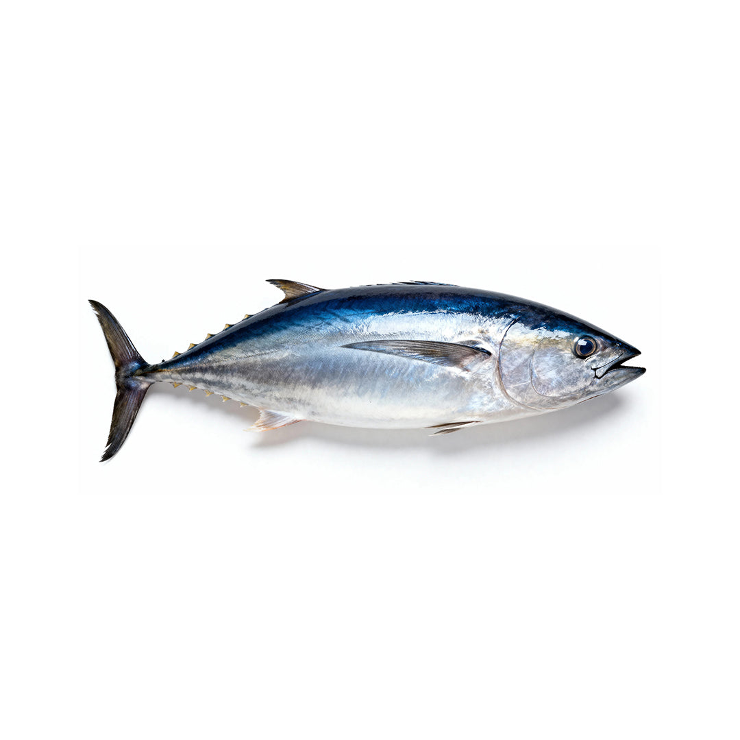 Bluefin Frozen Fillet (Thon Rouge) 200g