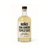 Nino Sin Amor Tepeztate